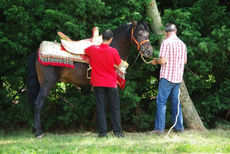 Le Moussem des Cultures 2008 070.jpg